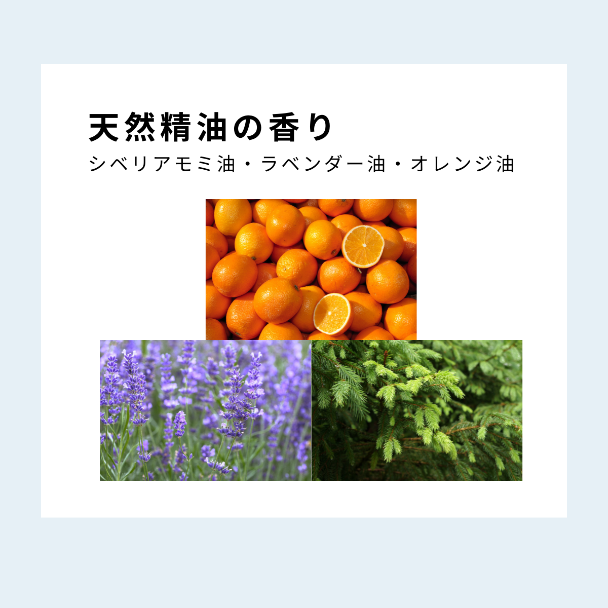 cinque　ニュートラルトリートメント