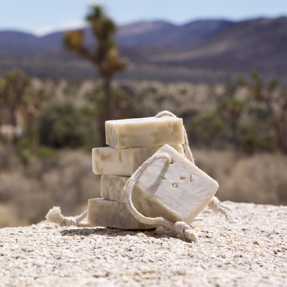 LIVING-OILコールドソープ カクタス 55g