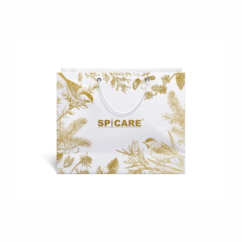 SPICARE Ⅴ３ Christmas　Coffret 2024