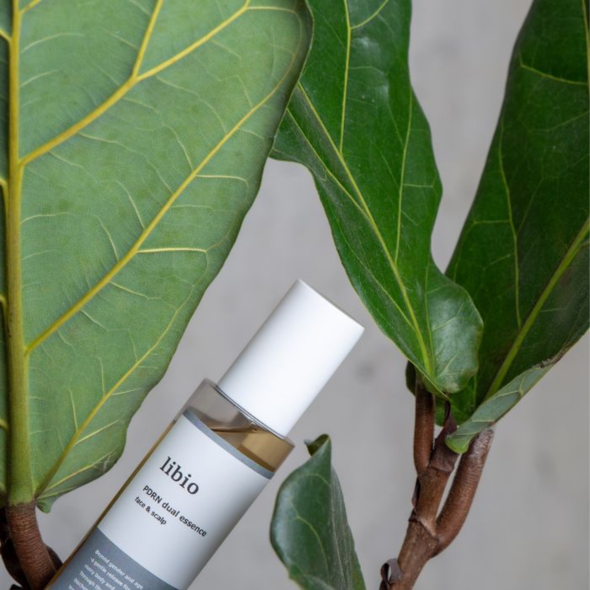 libioPDRN dual essence