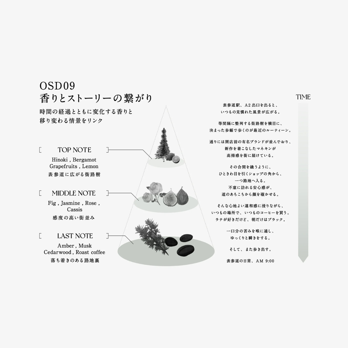 IPSCISS OSD09 SHAMPOO