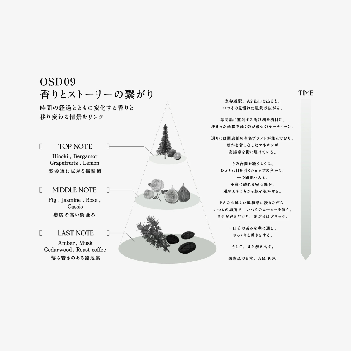 IPSCISS OSD MULTI OIL