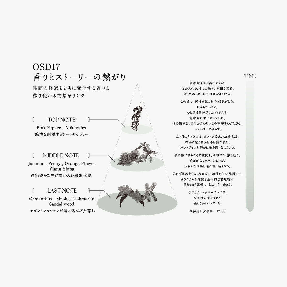 IPSCISS OSD MULTI OIL