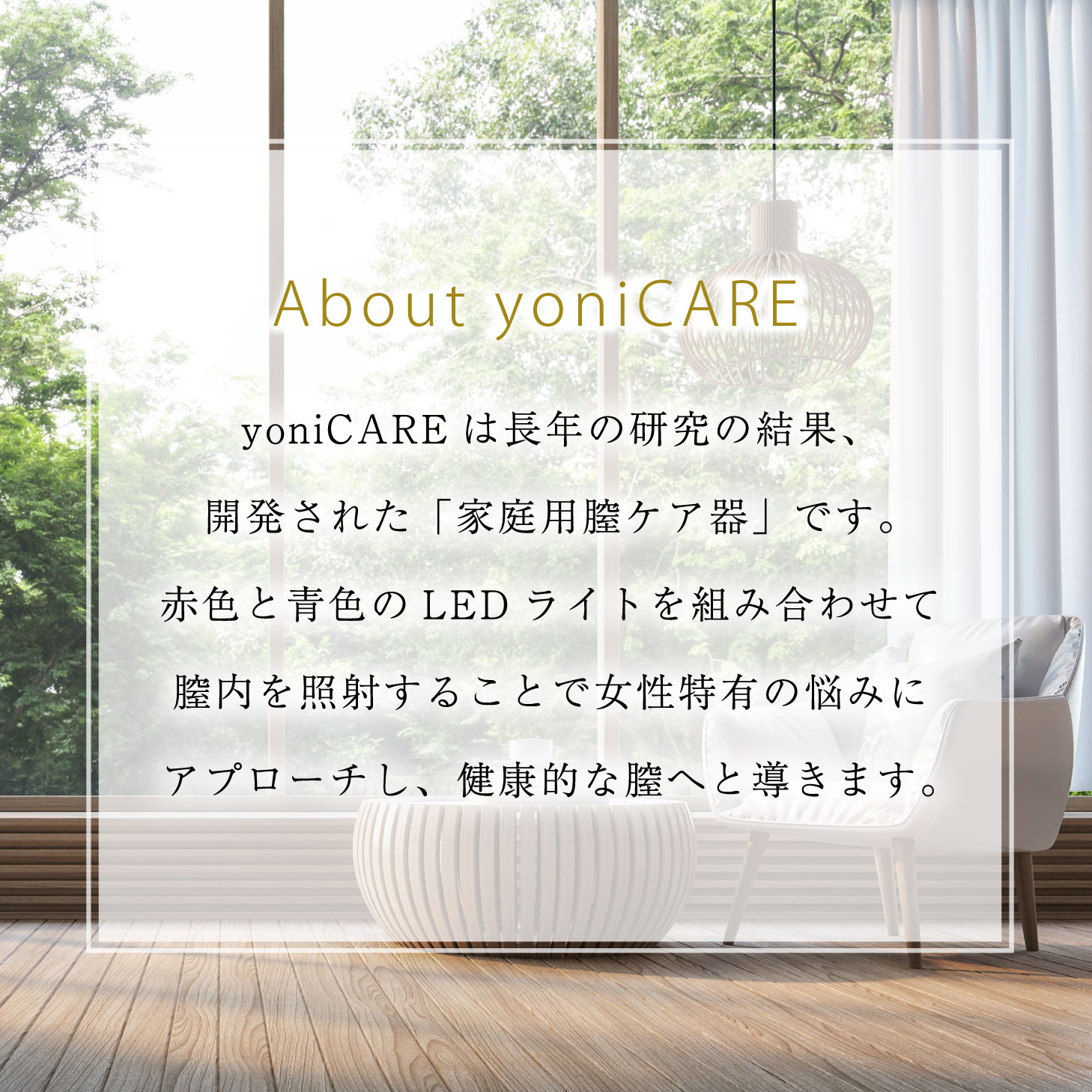 台数限定特別価格！家庭用ケア器　yonicare 家庭用腟ケア器 yoniCARE（ヨニケア） - 株式会社OXI